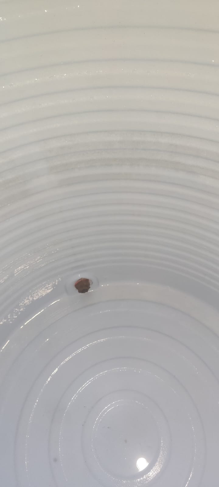 After - horizontal cleaning