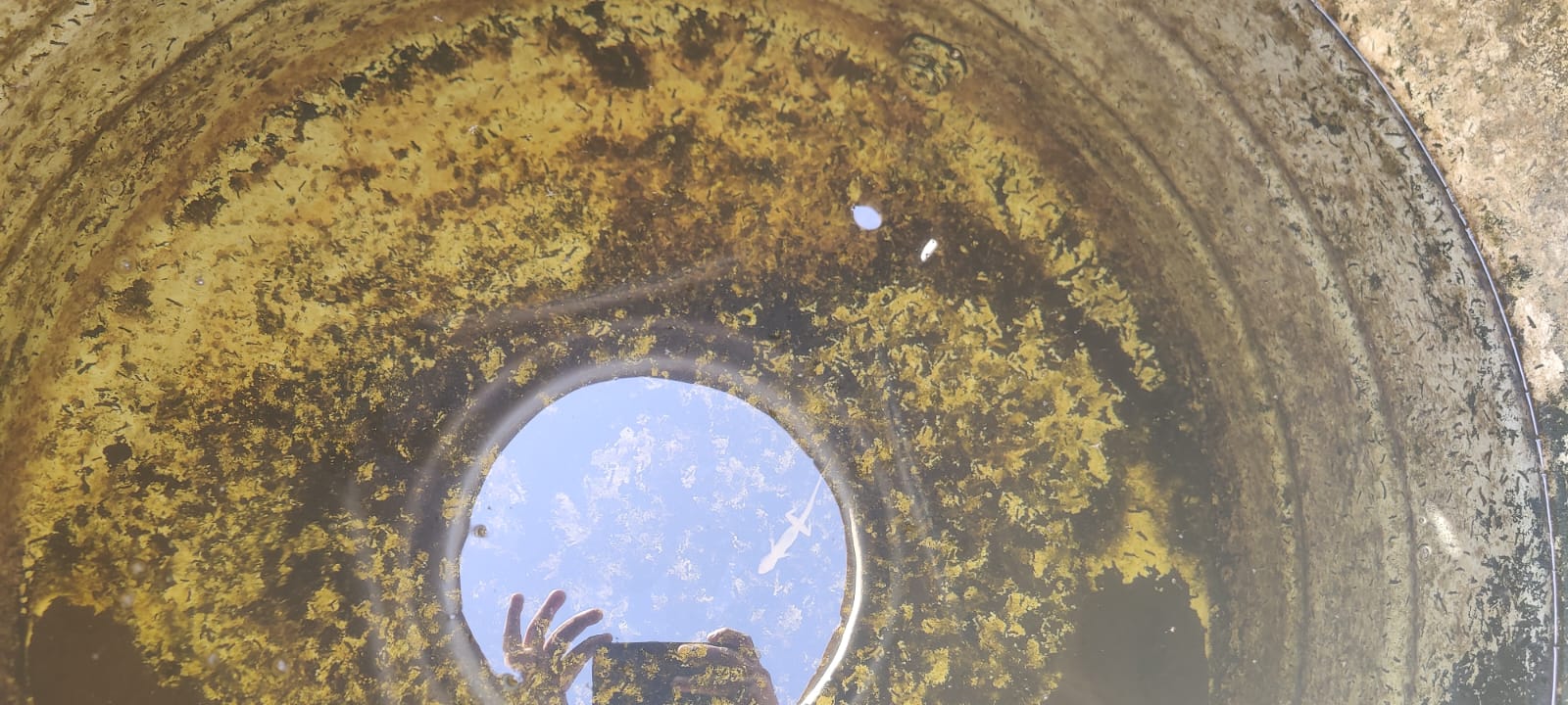 Before - horizontal cleaning